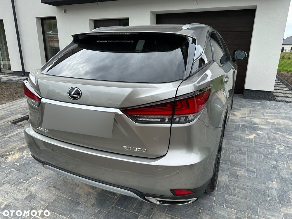 Lexus RX 300 Business Edition + - 8
