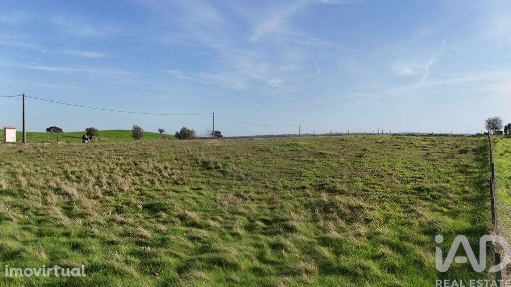 Terreno em Garvão e Santa Luzia - Grande imagem: 3/4