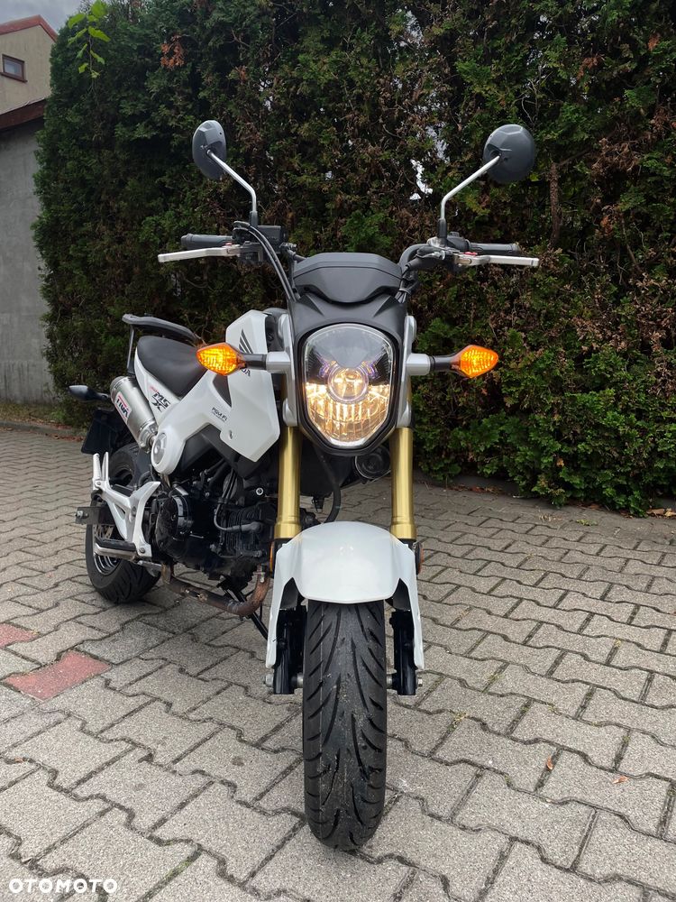 Honda MSX 125 - 3