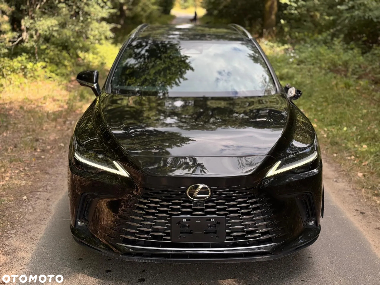 Lexus RX 350h (hybrid) Business - 6