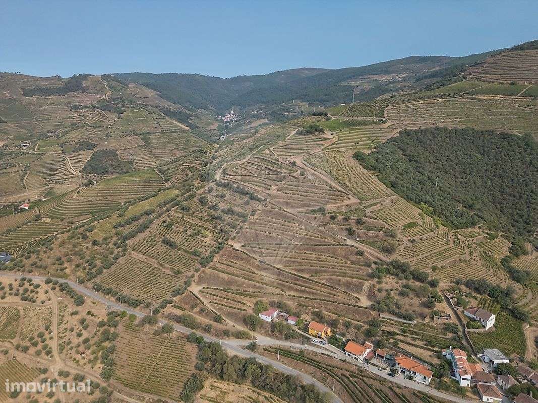 Herdade  para venda - Grande imagem: 5/7