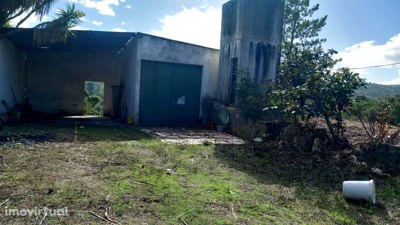 Quinta em barris palmela  parque natural - Grande imagem: 3/12