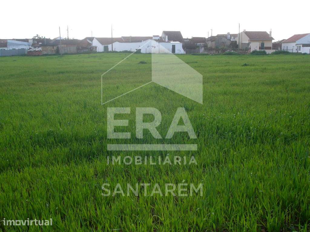 Terreno com Possibilidade de Lotear, no Centro da Vila, Para Venda - Grande imagem: 2/7