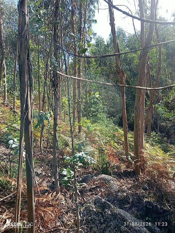 Terreno  para venda - Grande imagem: 5/13