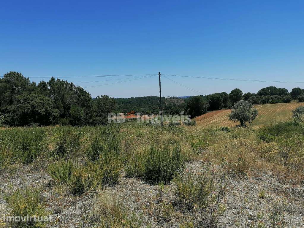 Terreno rústico com 5 hectares - Cem Soldos, Tomar - Grande imagem: 5/7