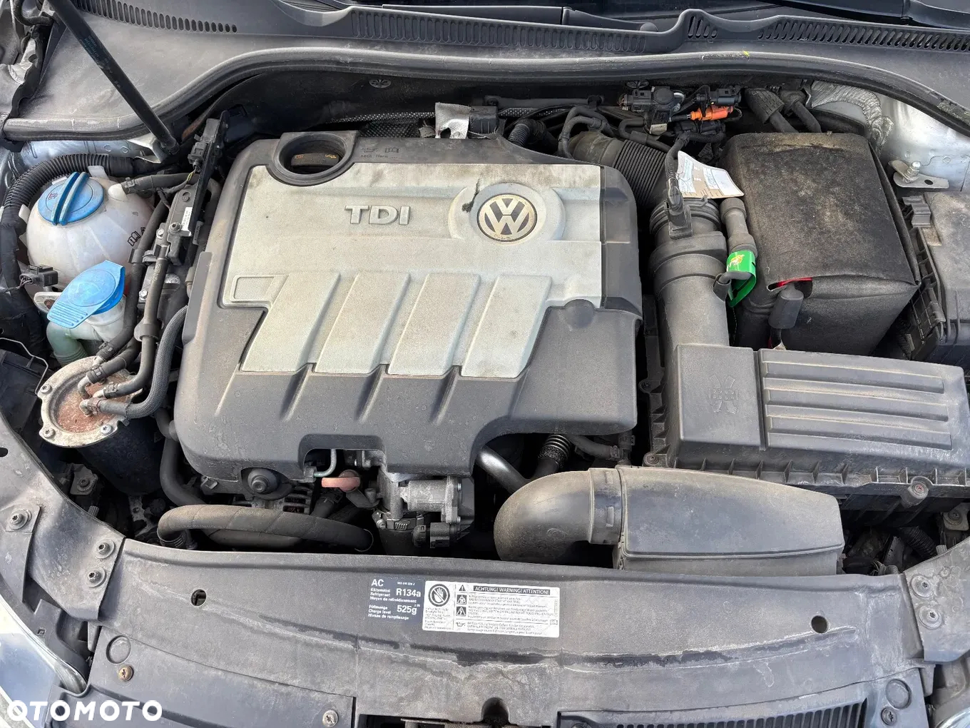 Volkswagen Golf - 20