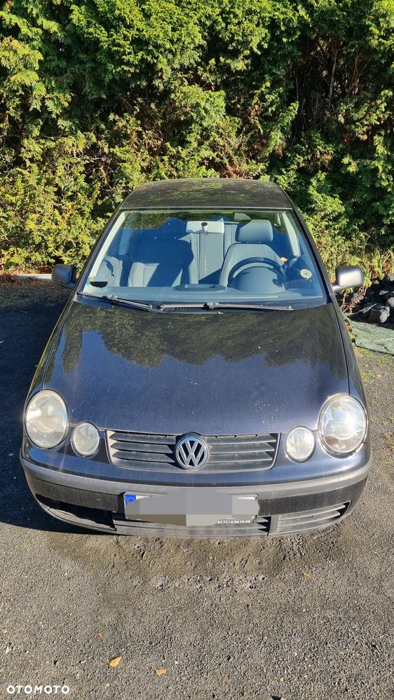 Volkswagen Polo - 2