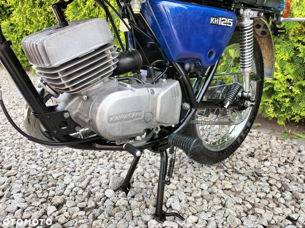 Kawasaki Inny - 9