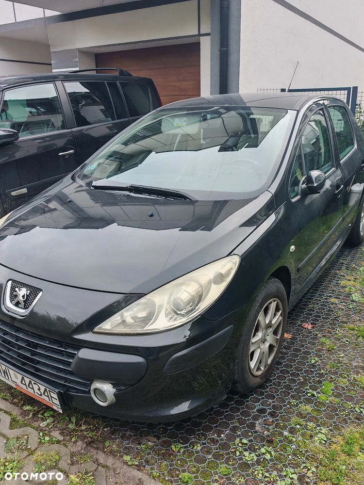 Peugeot 307 2006 photo 2