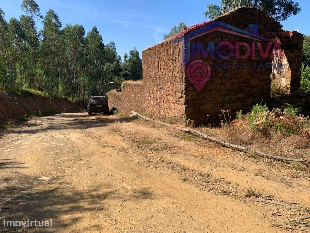 Quinta com moradia e terreno fértil de 10.063 m² - Grande imagem: 2/40