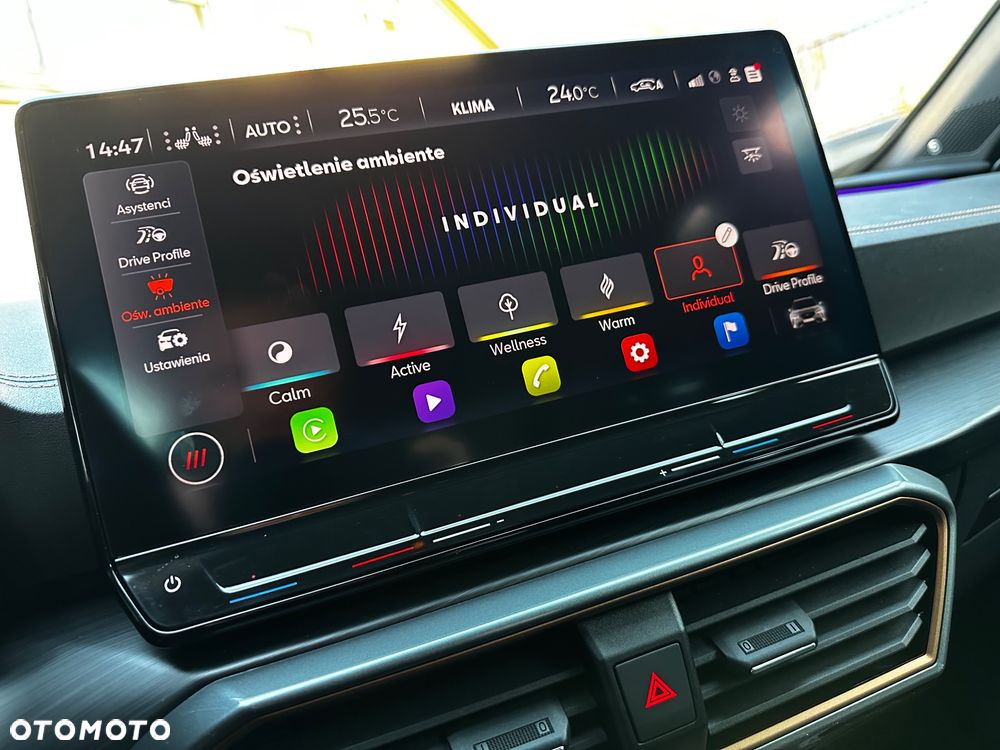 Cupra Formentor VZ 2.0 TSI 4Drive DSG - 24