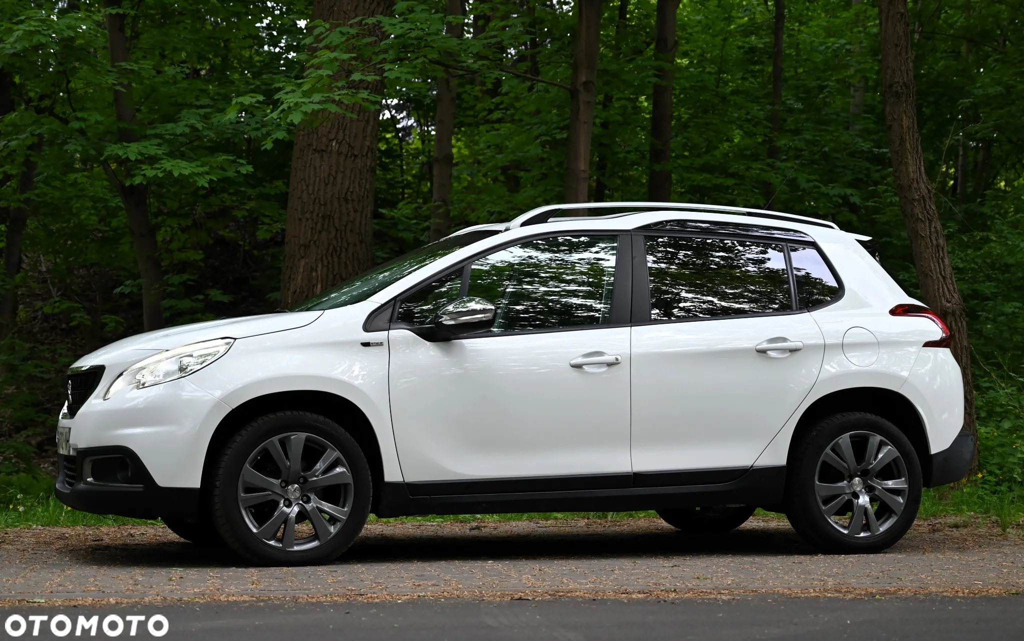 Peugeot 2008 1.6 BlueHDi Active - 17