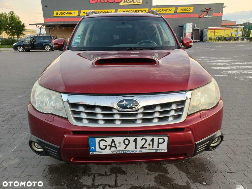 Subaru Forester - 7