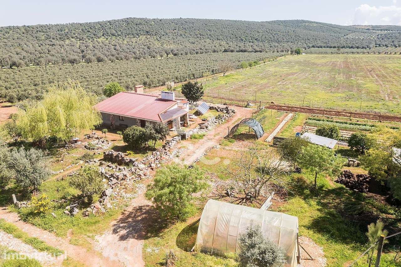 Quinta com 7,4 ha c/ Moradia em Renovação e Infraestruturas Agrícolas - Grande imagem: 5/60