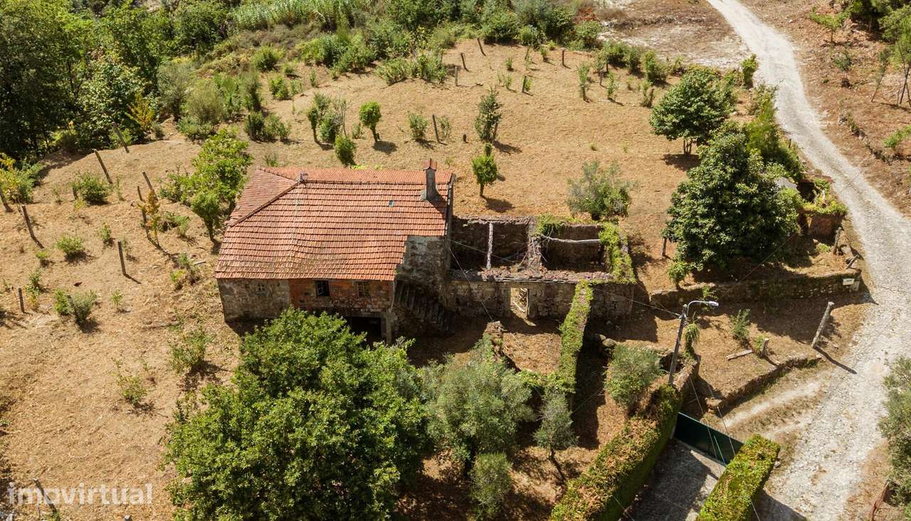 Moradia em Pedra com Terreno Murado de 2.814 m2 e Potencial Urbano – C - Grande imagem: 4/24
