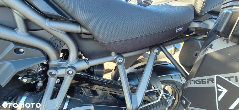 Triumph Tiger - 11