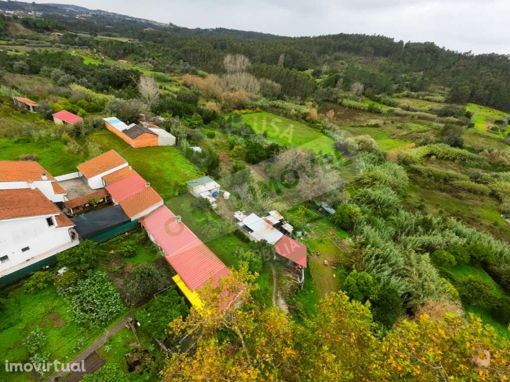 Terreno na Marmeleira- Souselas - Grande imagem: 3/7