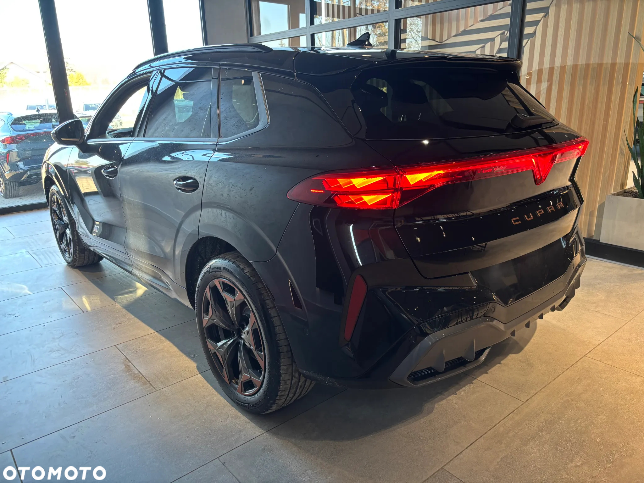 Cupra Terramar 2.0 TSI 4Drive DSG - 3