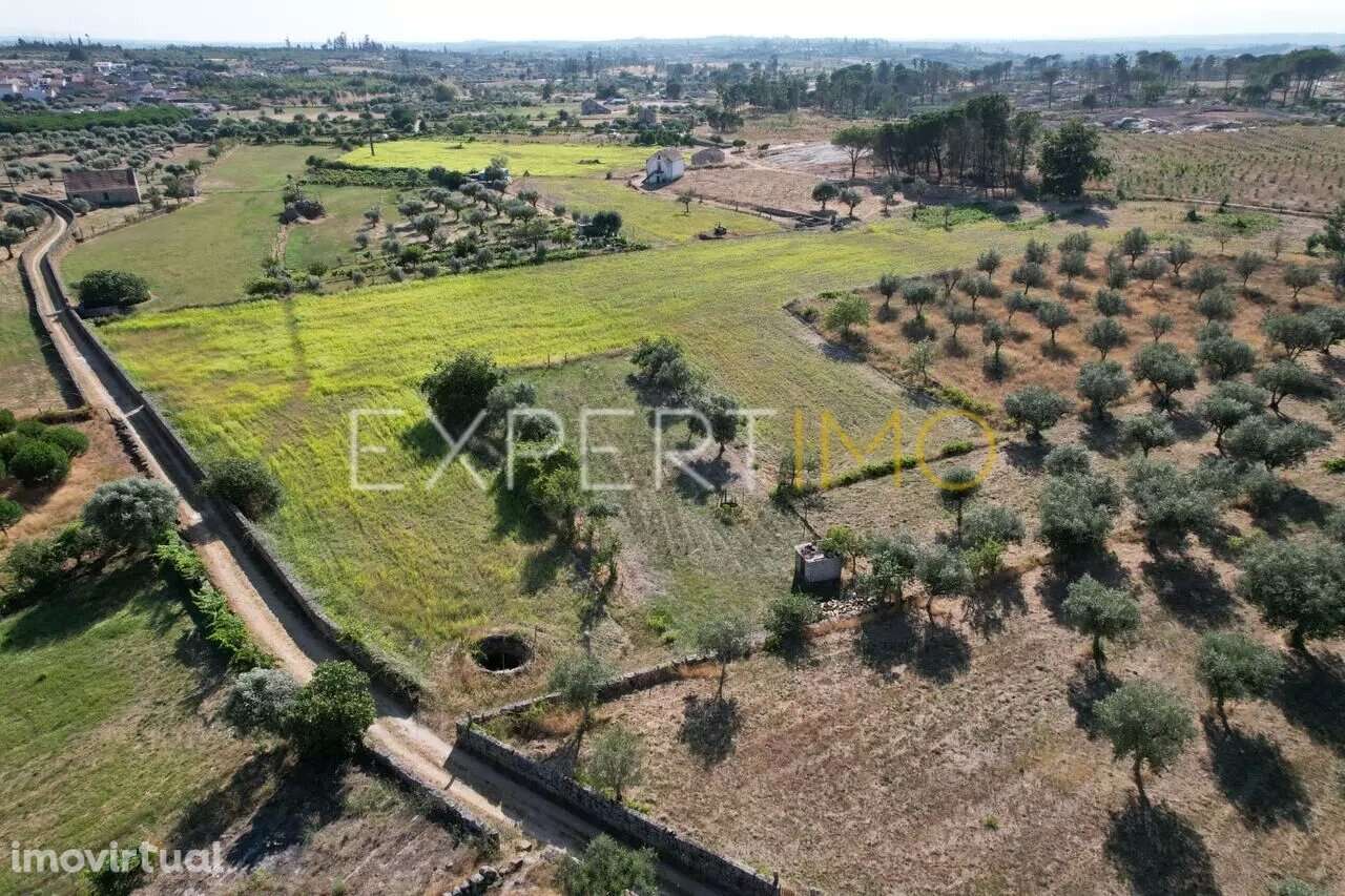 Quinta V5 bem localizada Vila Verde Seia - Grande imagem: 3/25