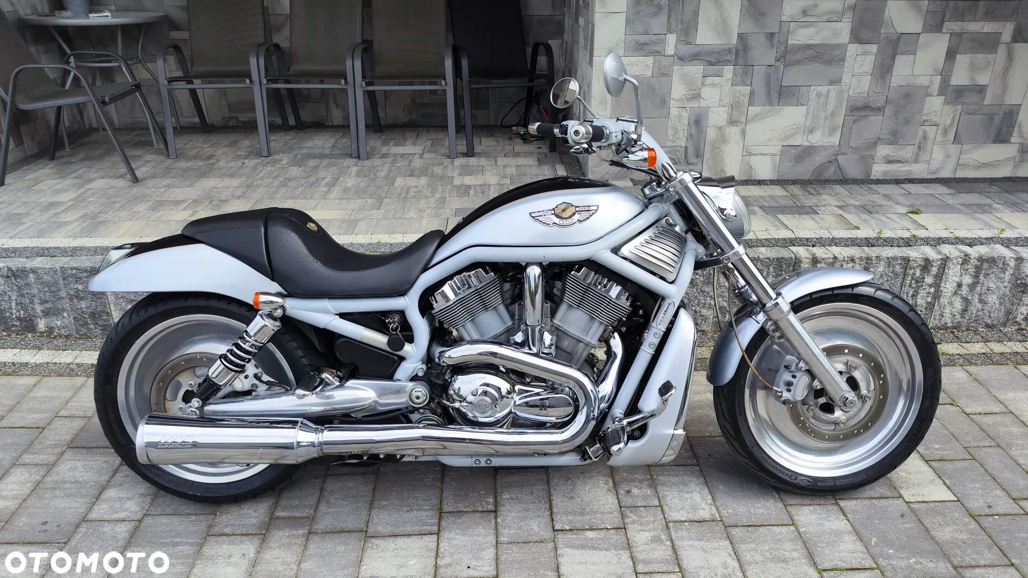 Harley-Davidson Softail V-Rod - 1