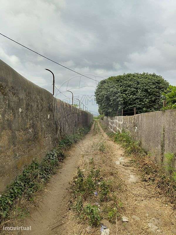 Terreno  para arrendamento - Grande imagem: 4/13