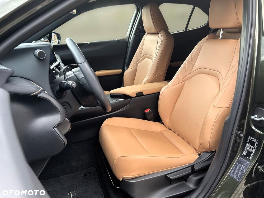 Lexus UX 250h GPF F Sport Design+ 2WD - 14