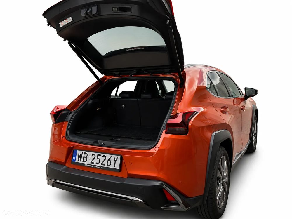 Lexus UX 250h F Sport 2WD - 3