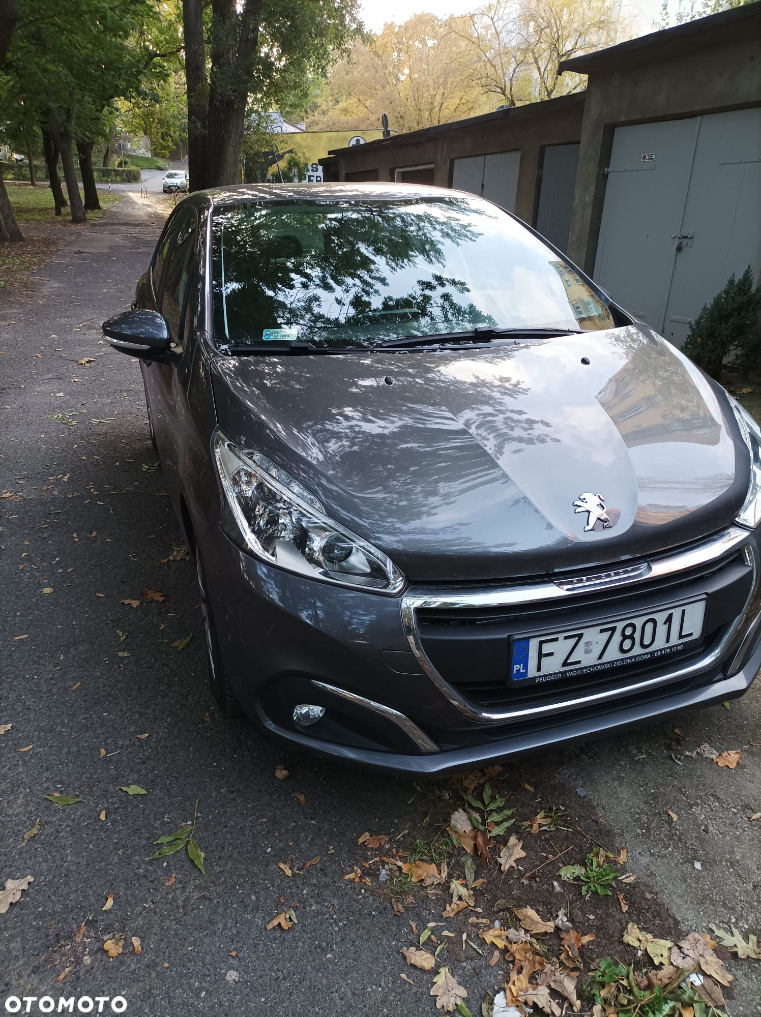 Peugeot 208 - 13
