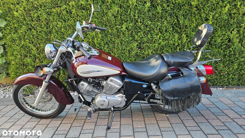 Honda Shadow - 3