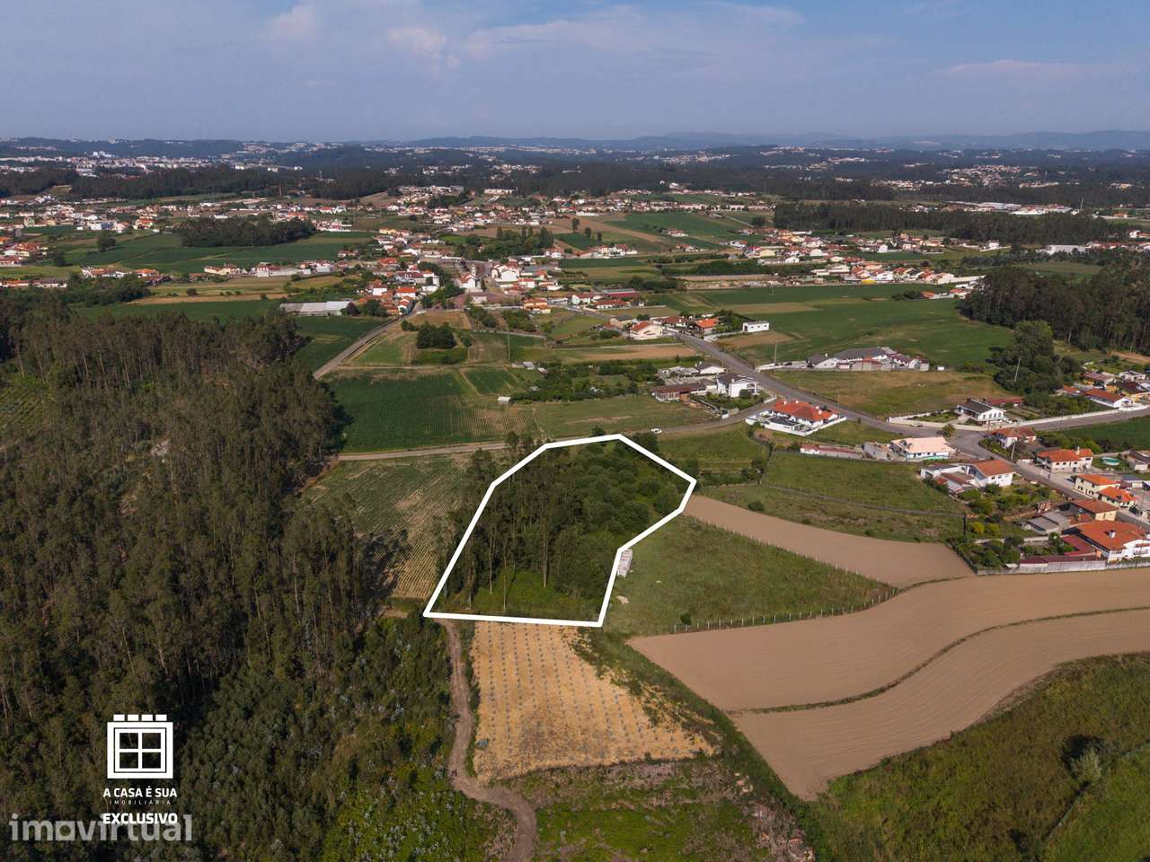 Terreno agrícola com 6.050 m² em Arada, Ovar - Exclusivo - Grande imagem: 5/23