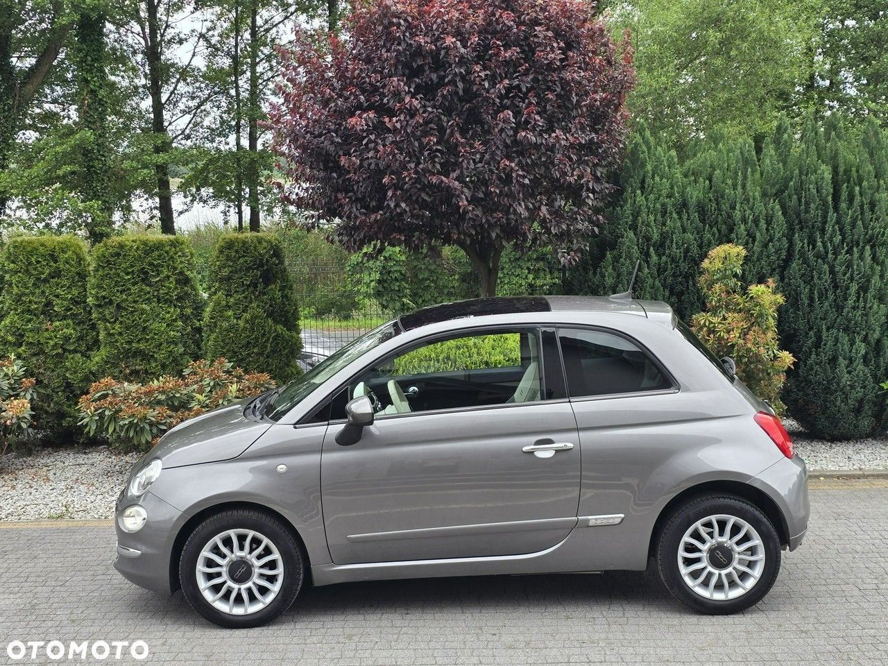 Fiat 500 - 16