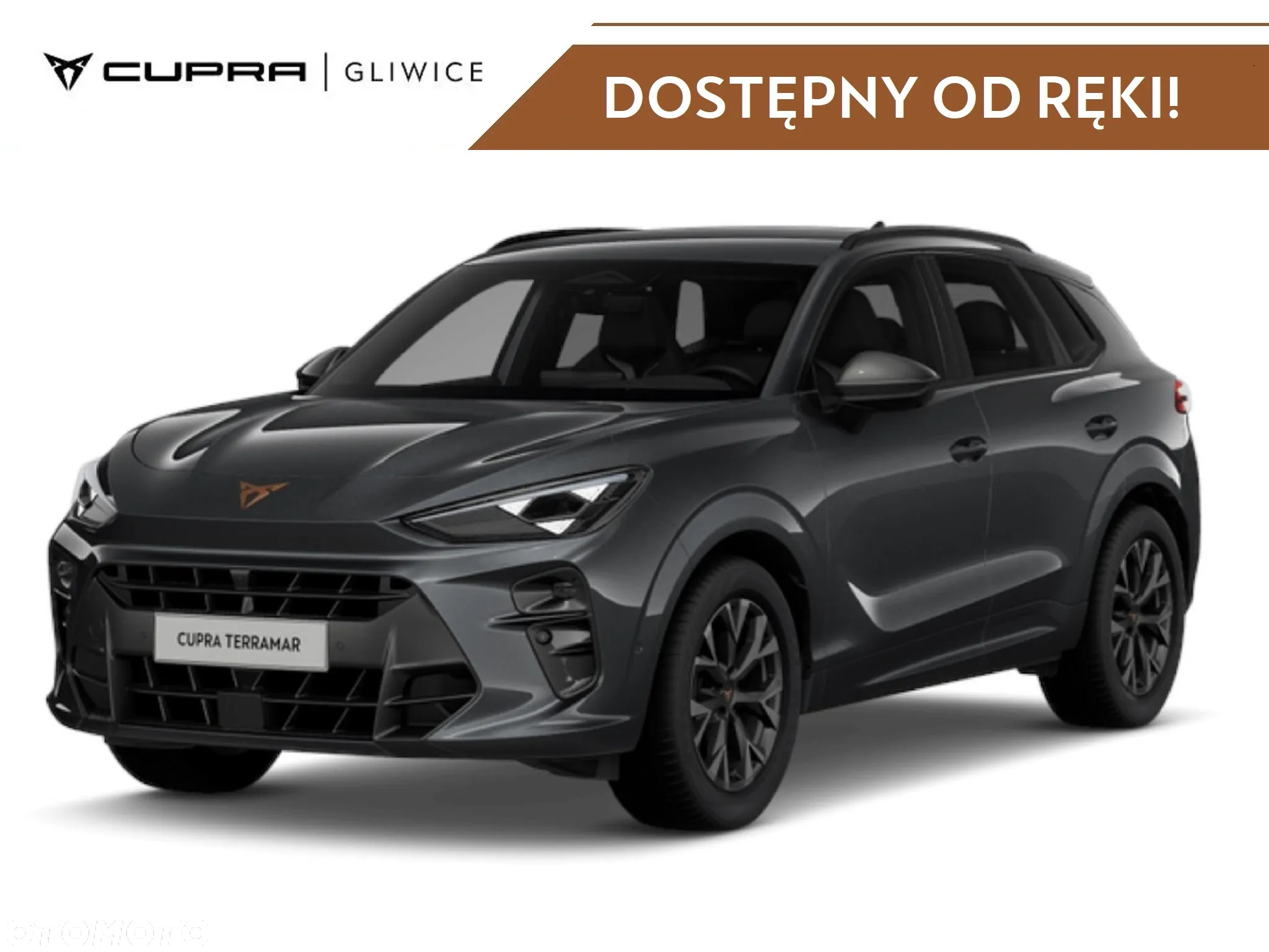 Cupra Terramar 1.5 eHybrid PHEV DSG - 9