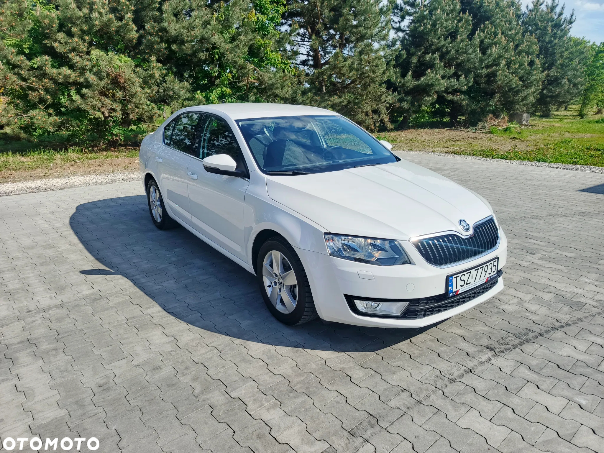 Skoda Octavia 1.6 TDI Greenline - 16
