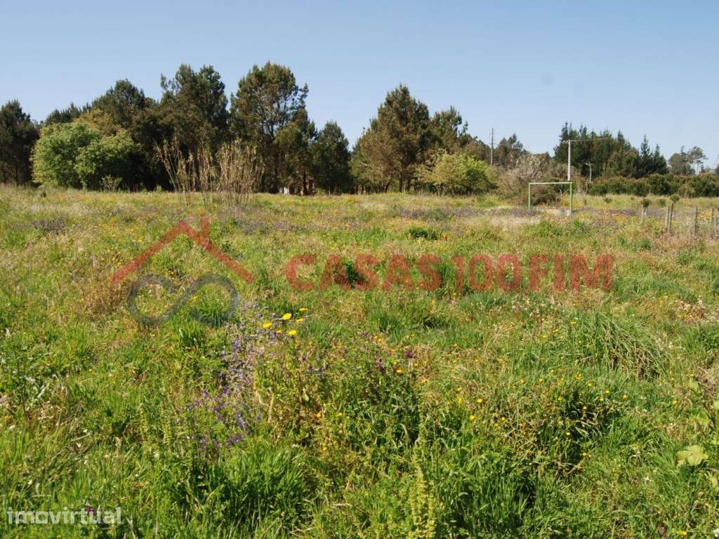 Terreno agrícola com 720m2, com poço, em Calvaria de Baixo, Batalha - Grande imagem: 2/5