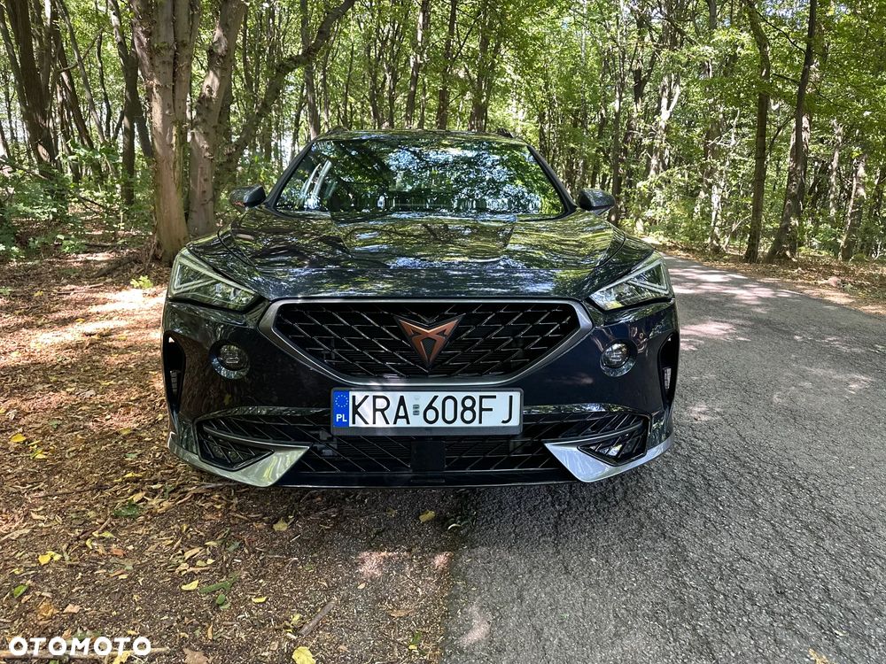 Cupra Formentor 1.5 TSI DSG Tribe Edition - 11
