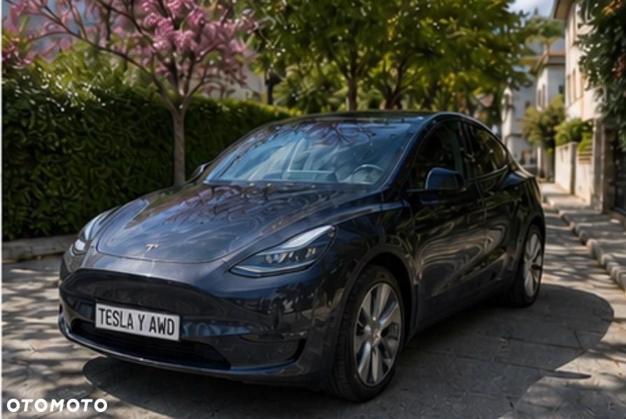 Tesla Model Y - 1