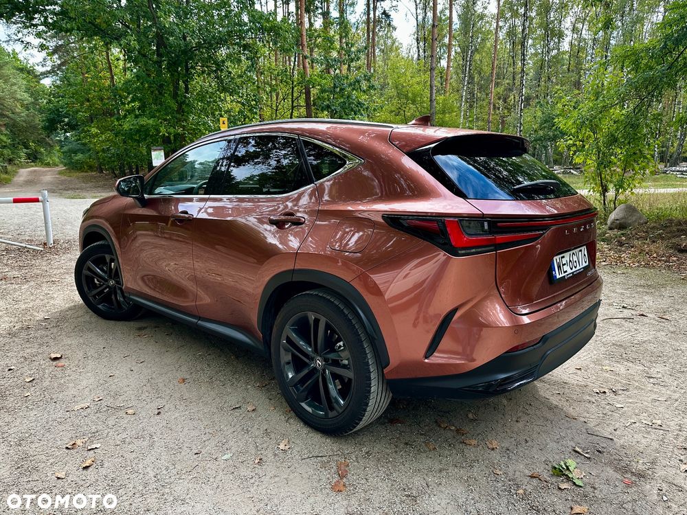 Lexus NX 450h+ Prestige AWD - 7
