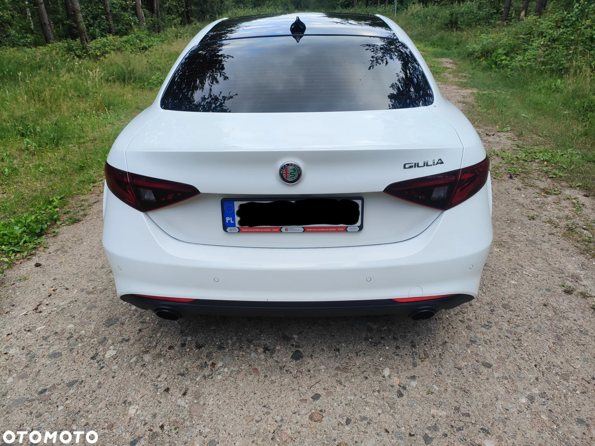 Alfa Romeo Giulia 2.0 Turbo TI Q4 - 4