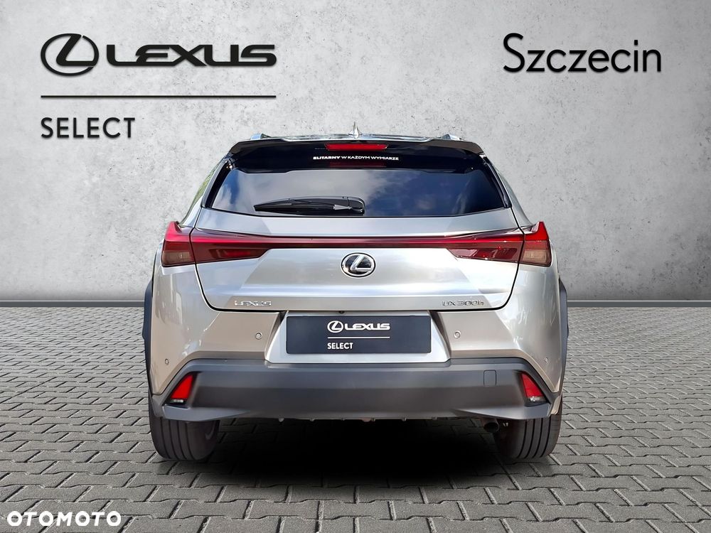 Lexus UX 300h Business - 4