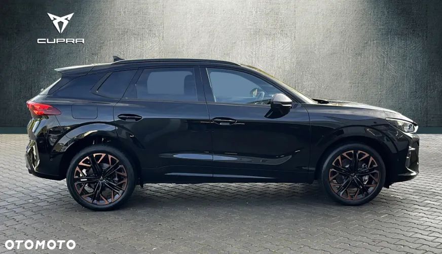 Cupra Terramar 2.0 TSI 4Drive Advantage Edition DSG - 6