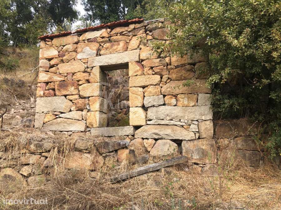 Quinta do Vale - Marco Canaveses - Grande imagem: 4/9