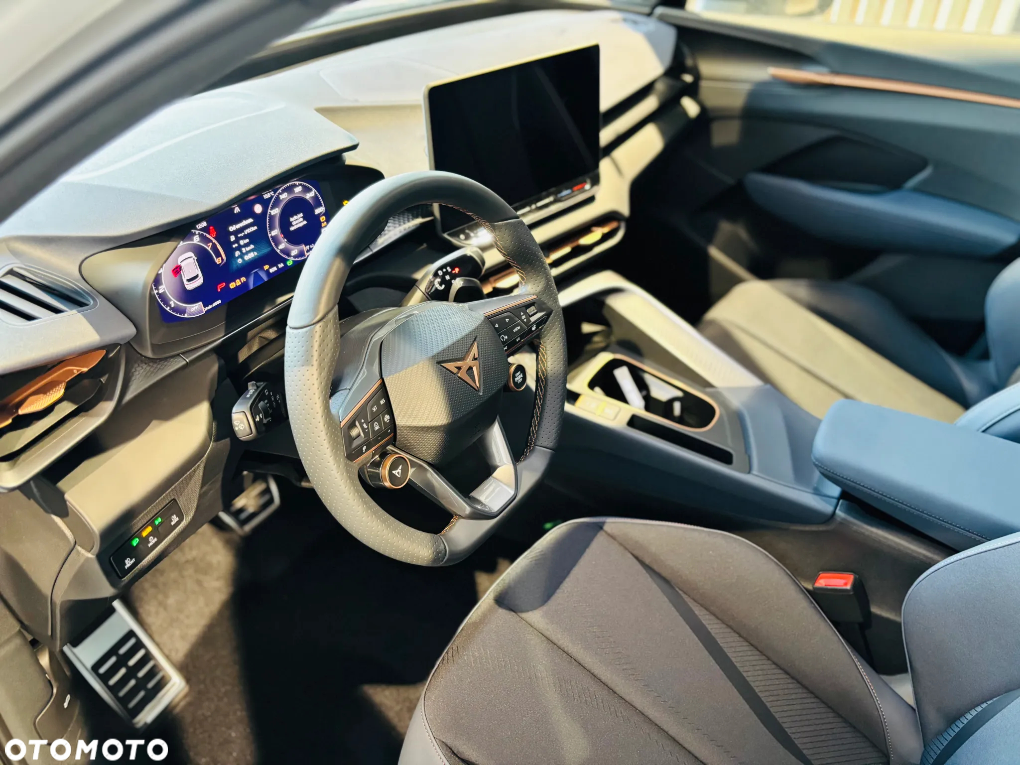 Cupra Terramar - 12