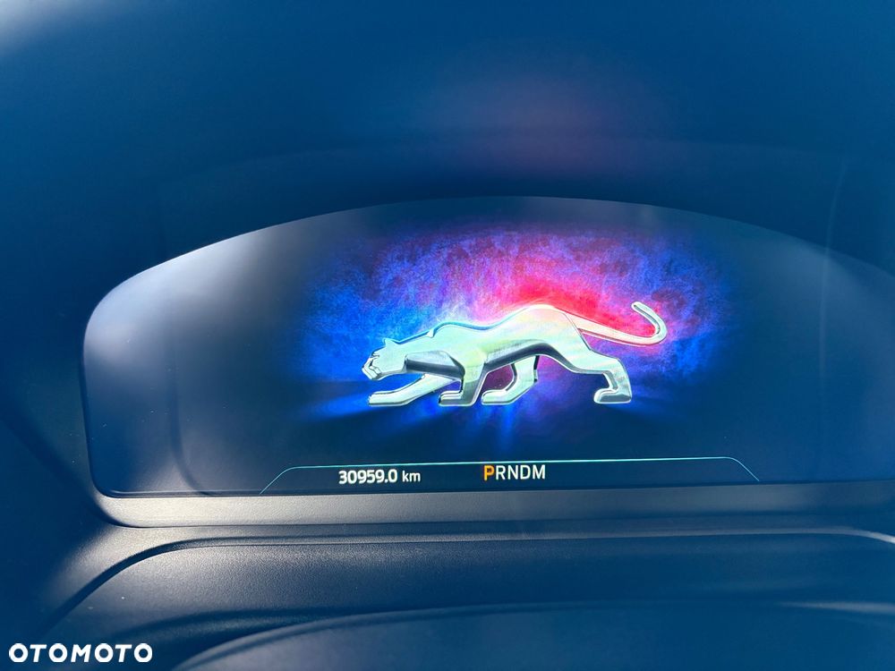 Ford Puma 1.0 EcoBoost mHEV ST-Line X Gold DCT - 19