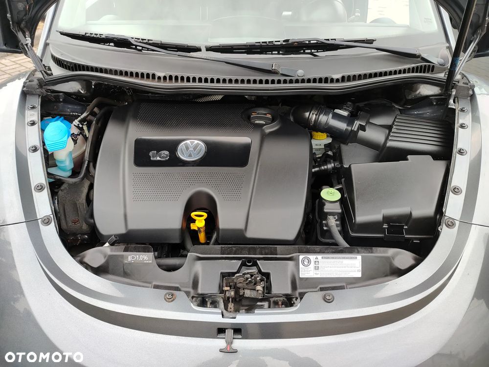 Volkswagen New Beetle - 25