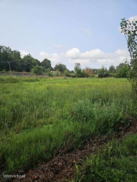 Terreno agrícola - Grande imagem: 5/8