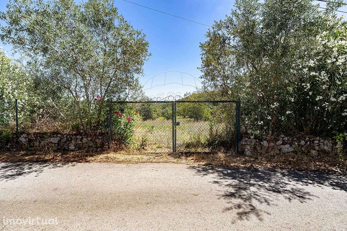 Terreno  para venda - Grande imagem: 2/8