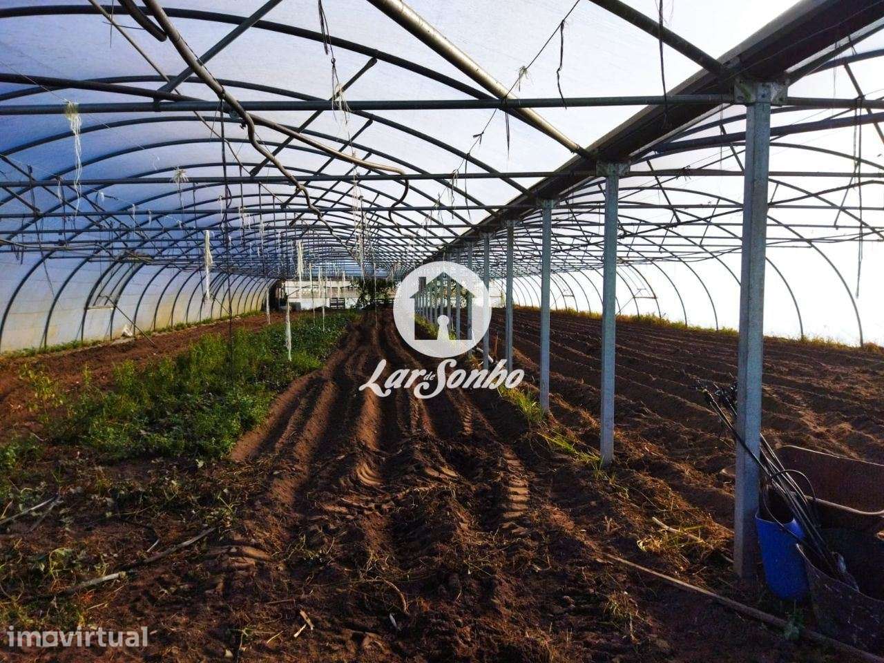 Terreno agrícola com 1.900m2, na Póvoa de Varzim - Grande imagem: 4/5