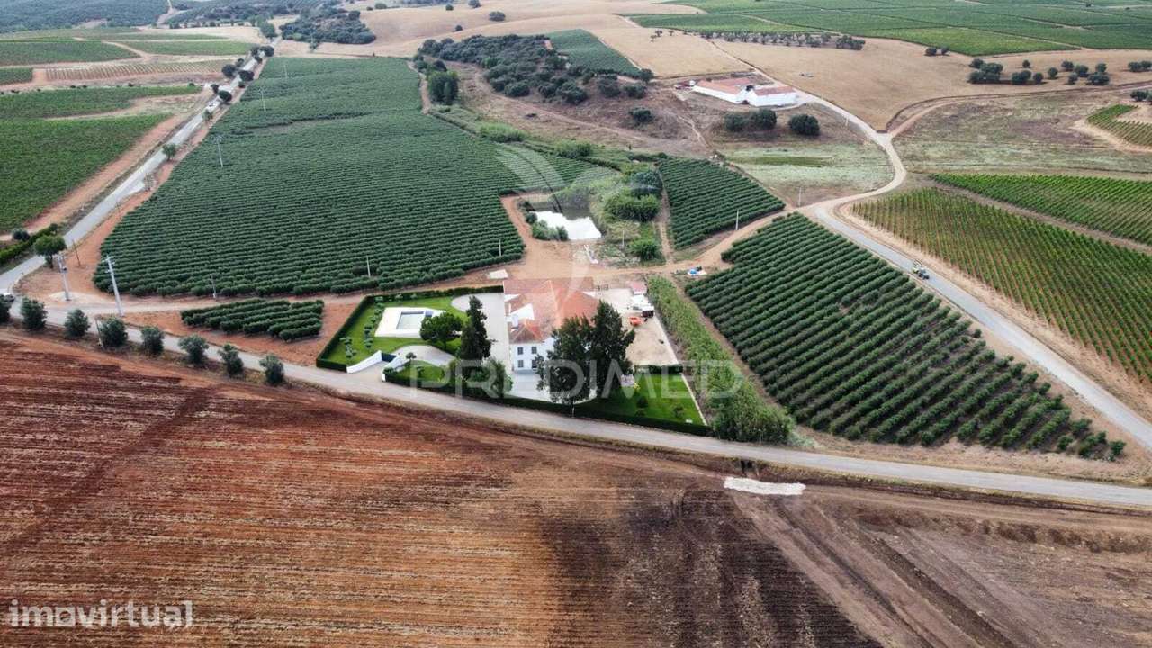 Beja - Vidigueira  - Um Legado no Coração do Alentejo - Grande imagem: 2/36