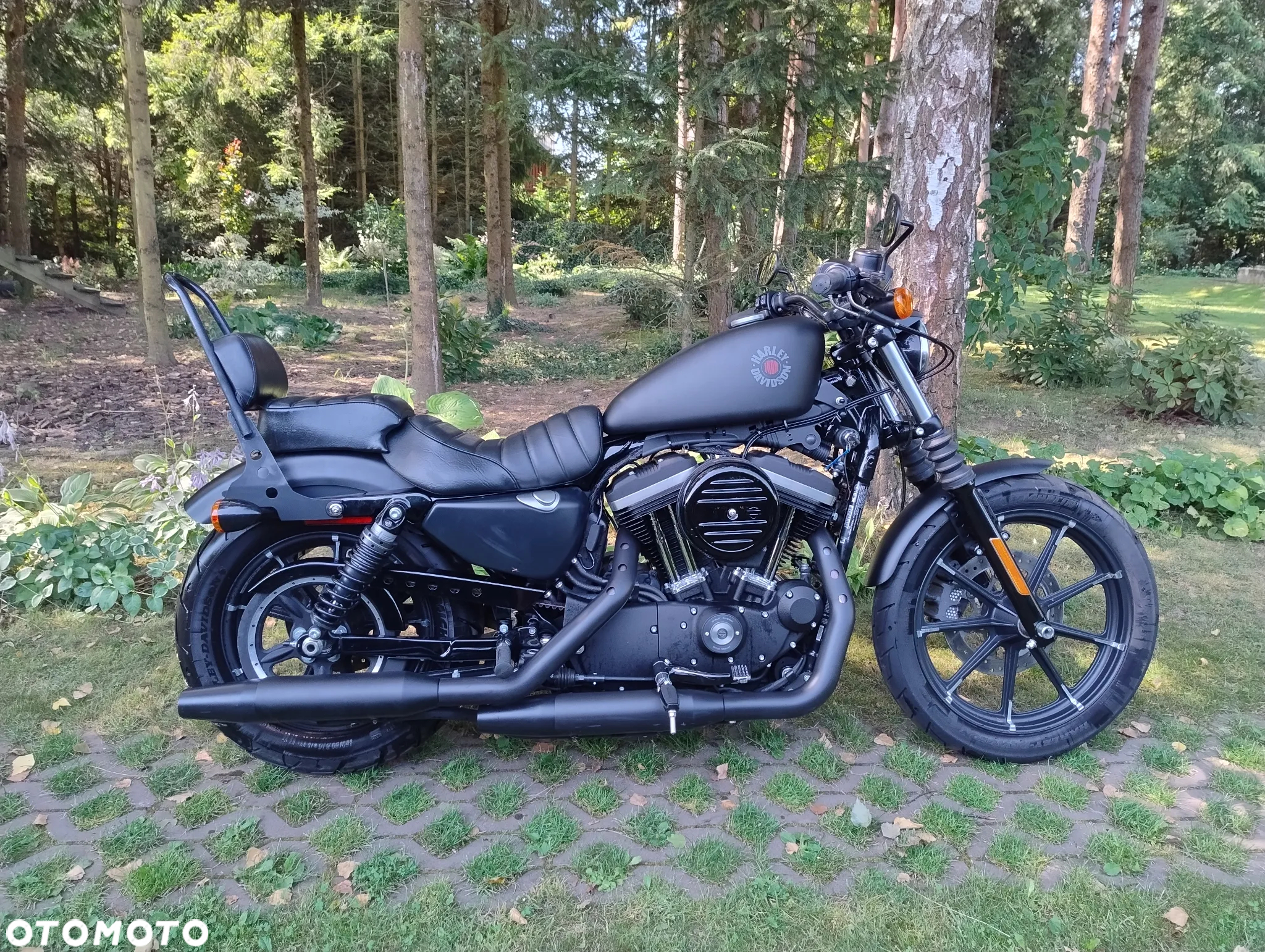 Harley-Davidson Sportster Iron 883 - 2