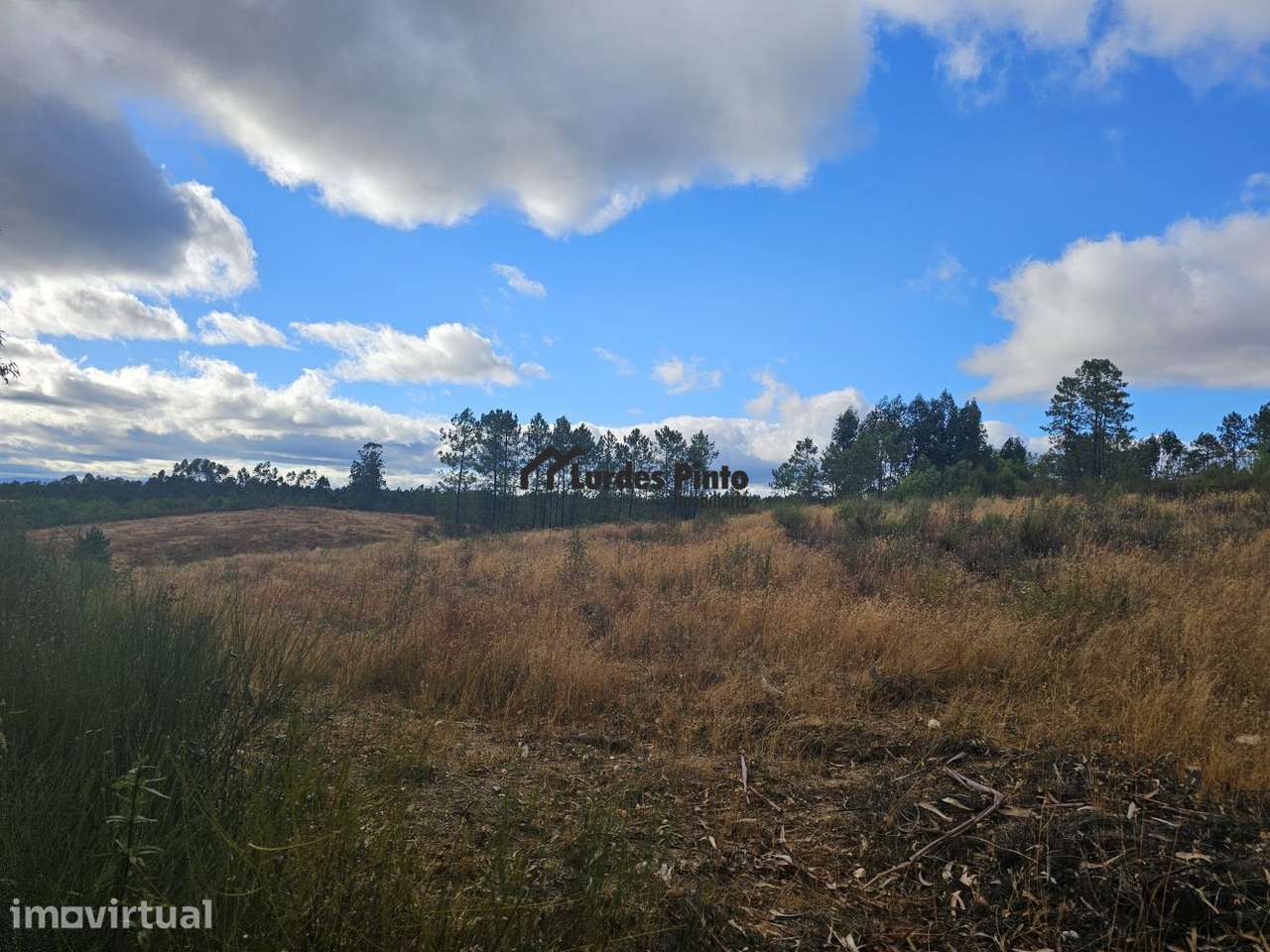 Terreno com 7.500m2 - Grande imagem: 3/10